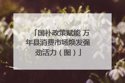 国补政策赋能 万年县消费市场焕发强劲活力（图）
