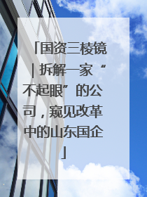 国资三棱镜｜拆解一家“不起眼”的公司，窥见改革中的山东国企