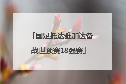 国足抵达雅加达备战世预赛18强赛
