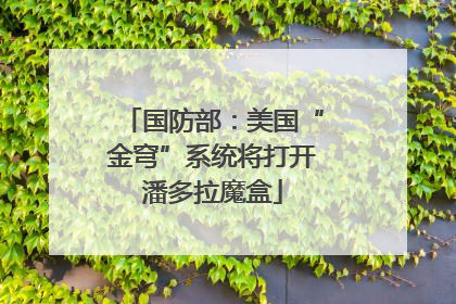 国防部：美国“金穹”系统将打开潘多拉魔盒