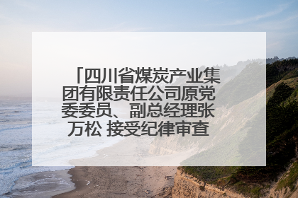 四川省煤炭产业集团有限责任公司原党委委员、副总经理张万松 接受纪律审查和监察调查