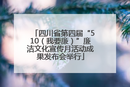 四川省第四届“510（我要廉）”廉洁文化宣传月活动成果发布会举行