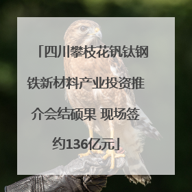 四川攀枝花钒钛钢铁新材料产业投资推介会结硕果 现场签约136亿元