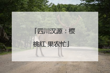 四川汉源：樱桃红 果农忙