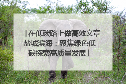 在低碳路上做高效文章 盐城滨海：聚焦绿色低碳探索高质量发展