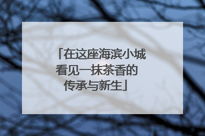 在这座海滨小城 看见一抹茶香的传承与新生