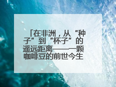 在非洲，从“种子”到“杯子”的遥远距离——一颗咖啡豆的前世今生（三）