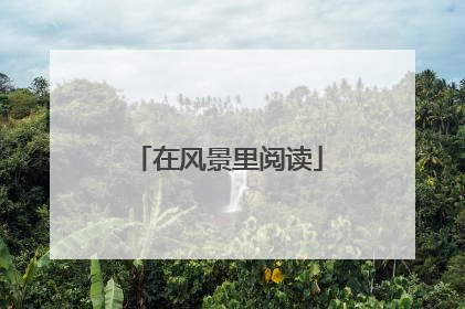 在风景里阅读