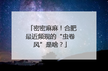 密密麻麻！合肥最近频现的“虫卷风”是啥？
