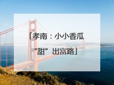 孝南：小小香瓜 “甜”出富路