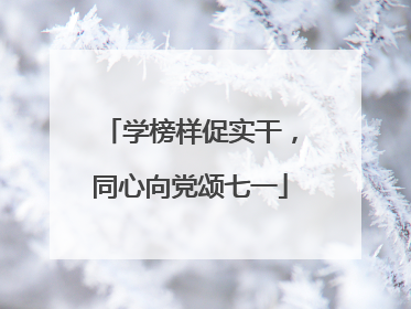 学榜样促实干，同心向党颂七一
