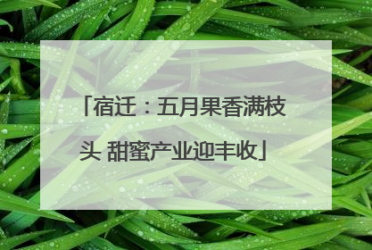 宿迁：五月果香满枝头 甜蜜产业迎丰收