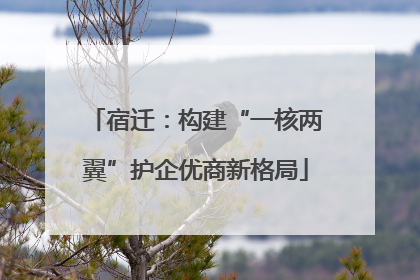 宿迁：构建“一核两翼”护企优商新格局
