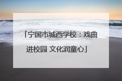 宁国市城西学校：戏曲进校园 文化润童心
