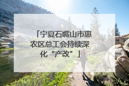 宁夏石嘴山市惠农区总工会持续深化“产改”