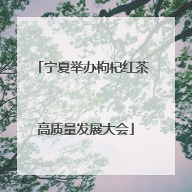 宁夏举办枸杞红茶高质量发展大会