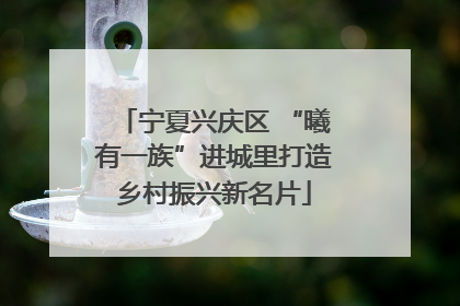宁夏兴庆区 “曦有一族”进城里打造乡村振兴新名片
