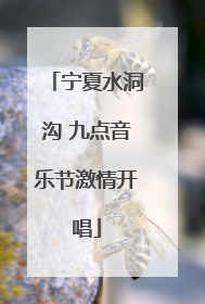 宁夏水洞沟 九点音乐节激情开唱