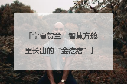 宁夏贺兰：智慧方舱里长出的“金疙瘩”