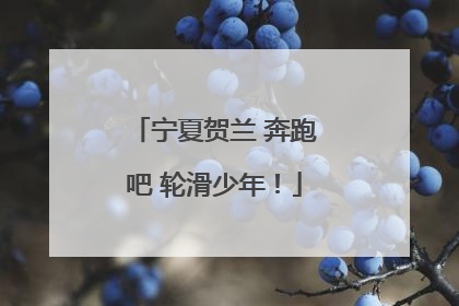宁夏贺兰 奔跑吧 轮滑少年！