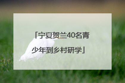 宁夏贺兰40名青少年到乡村研学