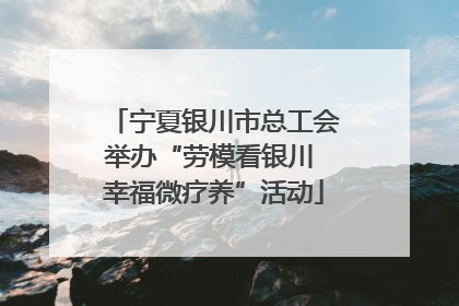 宁夏银川市总工会举办“劳模看银川 幸福微疗养”活动