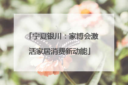 宁夏银川：家博会激活家居消费新动能