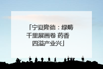 宁夏隆德：绿畴千里展画卷 药香四溢产业兴