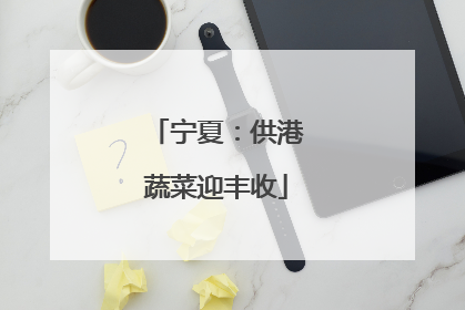 宁夏：供港蔬菜迎丰收