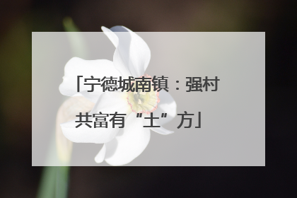 宁德城南镇：强村共富有“土”方