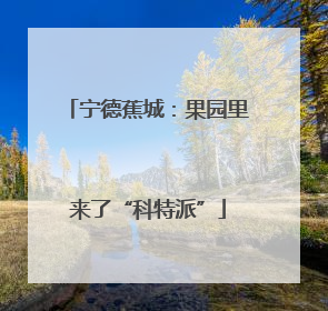 宁德蕉城：果园里来了“科特派”