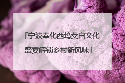 宁波奉化西坞茭白文化盛宴解锁乡村新风味