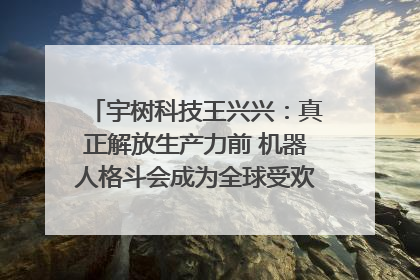 宇树科技王兴兴：真正解放生产力前 机器人格斗会成为全球受欢迎的赛事｜科技观察