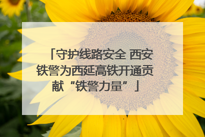 守护线路安全 西安铁警为西延高铁开通贡献“铁警力量”