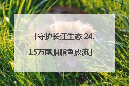 守护长江生态 24.15万尾胭脂鱼放流