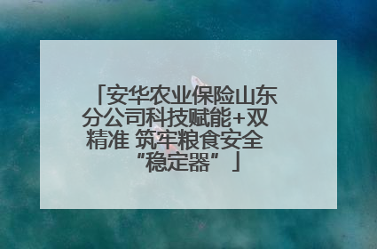 安华农业保险山东分公司科技赋能+双精准 筑牢粮食安全“稳定器”
