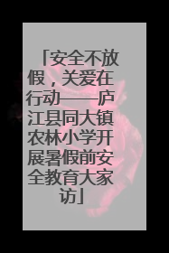 安全不放假，关爱在行动——庐江县同大镇农林小学开展暑假前安全教育大家访