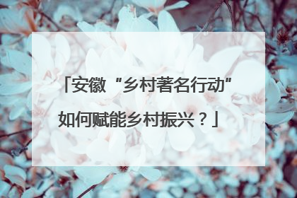 安徽“乡村著名行动”如何赋能乡村振兴？