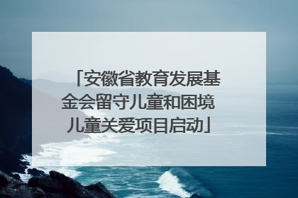 安徽省教育发展基金会留守儿童和困境儿童关爱项目启动