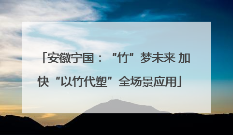 安徽宁国：“竹”梦未来 加快“以竹代塑”全场景应用