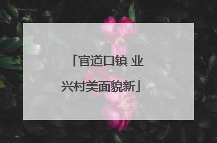 官道口镇 业兴村美面貌新