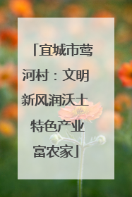 宜城市莺河村：文明新风润沃土 特色产业富农家