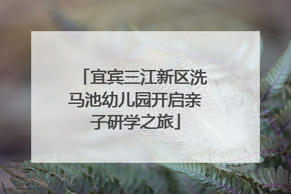 宜宾三江新区洗马池幼儿园开启亲子研学之旅