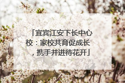 宜宾江安下长中心校：家校共育促成长，携手并进待花开