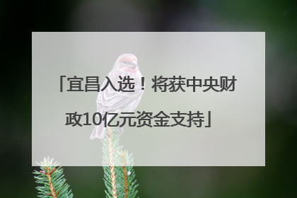 宜昌入选！将获中央财政10亿元资金支持