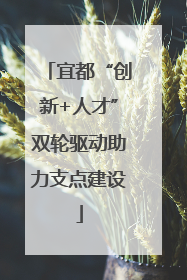 宜都“创新+人才”双轮驱动助力支点建设