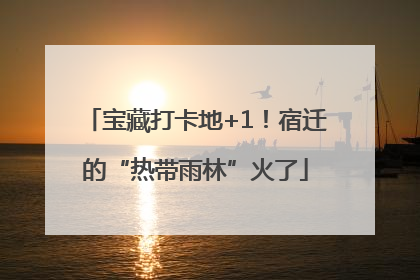 宝藏打卡地+1！宿迁的“热带雨林”火了