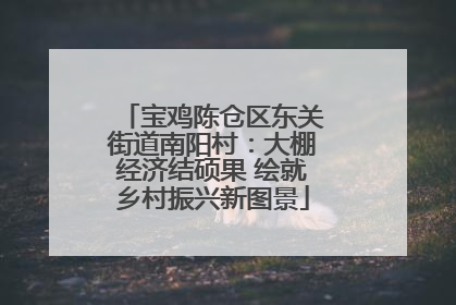 宝鸡陈仓区东关街道南阳村：大棚经济结硕果 绘就乡村振兴新图景