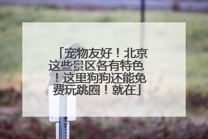 宠物友好！北京这些景区各有特色！这里狗狗还能免费玩跳圈！就在