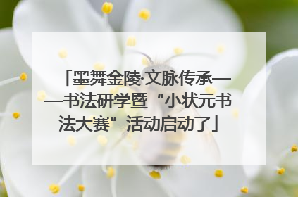墨舞金陵·文脉传承——书法研学暨“小状元书法大赛”活动启动了
